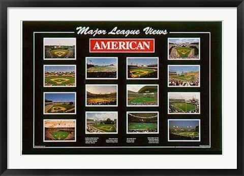 Framed Art Major League Views: American League by Ira Rosen | 23 7/8 x 35 7/8 ...