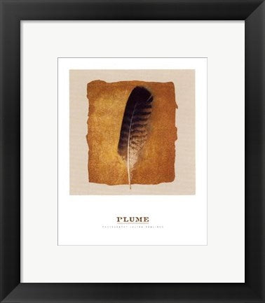 Framed Art Plume by Julyan Rawlings | 11 3/4 x 9 1/2