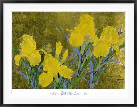 Framed Art Yellow Iris by David Lee | 35 1/2 x 47
