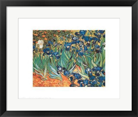 Framed Art Iris Garden by Vincent van Gogh | 16 x 20