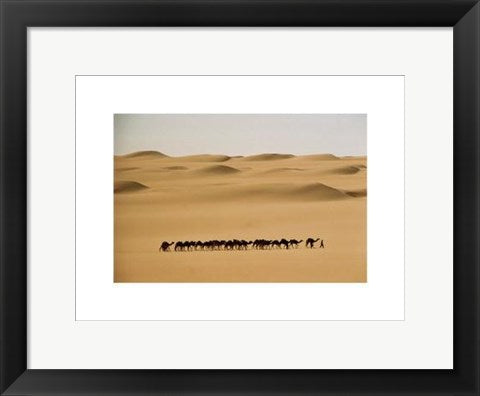 Framed Art Camel Train, Mauritania by Barbara Maurer | 11 7/8 x 15 3/4