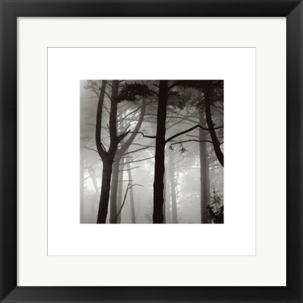 Framed Art Forest I by Nicholas Pavloff | 15 ¾ x 15 ¾