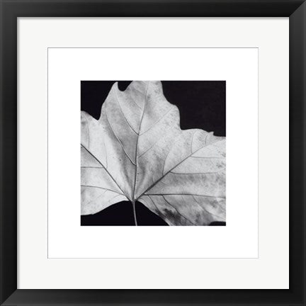 Framed Art Leaf by Brian David Stevens | 15 3/4 x 15 3/4