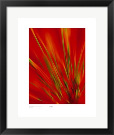 Framed Art Flexi Grass, Bright Green on Red by Michael Banks | 19 3/4 x 15 3/4...