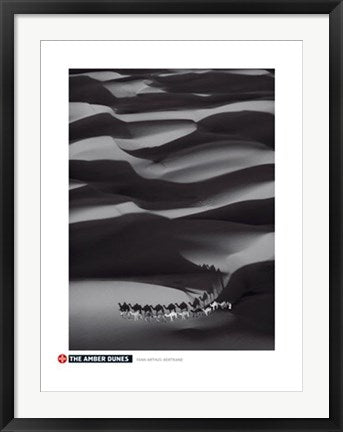 Framed Art Amber Dunes by Yann Arthus-Bertrand | 31 1/2 x 23 1/2