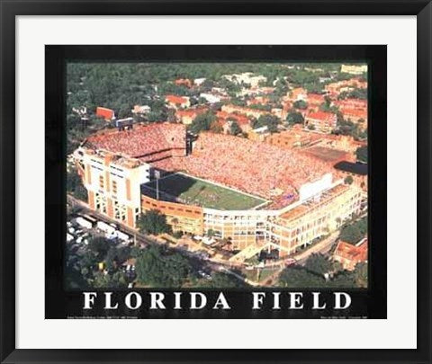 Framed Art Florida Field - University of Florida, Gainesville by Mike Smith