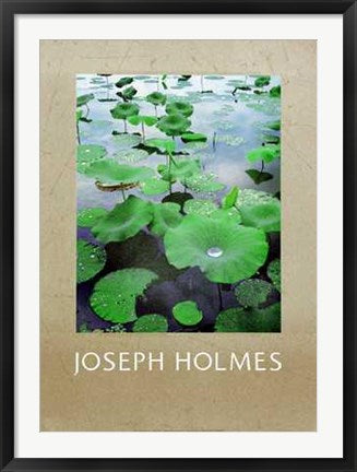 Framed Art Lily Pads by Joseph Holmes | 35 x 25