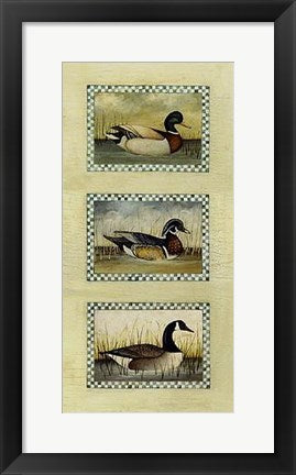 Framed Art Mallard, Wood Duck and Canada Goose by David Carter Brown
