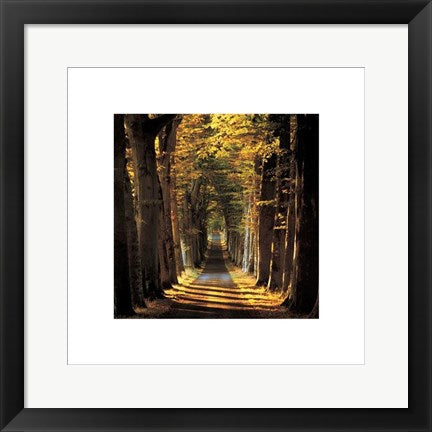 Framed Art Tree Lined Avenue by Kathy Collins | 15 3/4 x 15 3/4