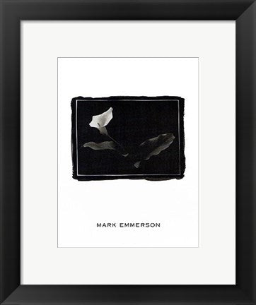 Framed Art Calla Lily, Bermuda by Mark Emmerson | 12 x 9