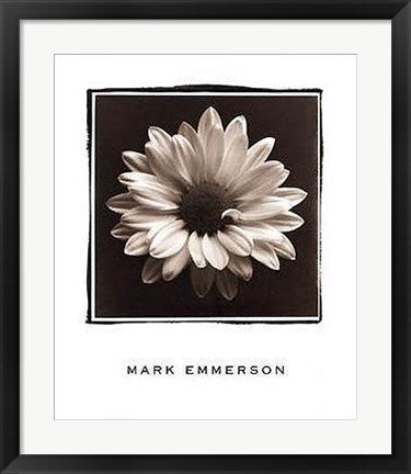 Framed Art Mary Ann (Daisy), Bermuda by Mark Emmerson | 24 x 20