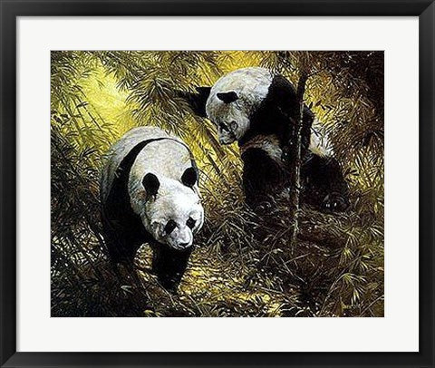 Framed Art Panda Pair by Spencer Hodge | 20 x 24