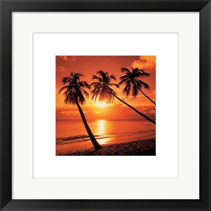 Framed Art Tropical Sunset by Bob Thomas | 15 3/4 x 15 3/4