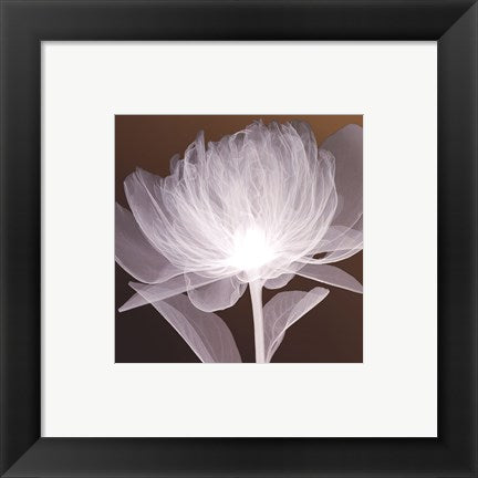 Framed Art Full Bloom Awakening 8 x 8
