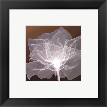 Framed Art Sheer Delicacy 8 x 8