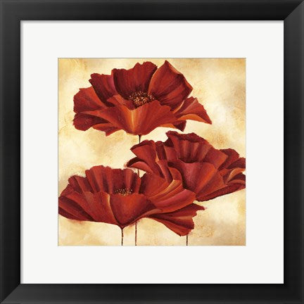 Framed Art Three Poppies I by Nicola Rabbett | 11 3/4 x 11 3/4
