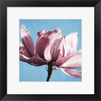 Framed Art Magnolia in a Cloudless Sky by Scott Walker | 11 3/4 x 11 3/4 Art P...