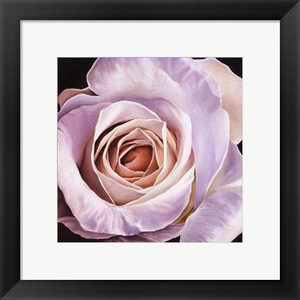 Framed Art White Rose at Dusk by Scott Walker | 11 3/4 x 11 3/4