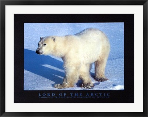 Framed Art Lord of the Arctic by Lankinen | 23 1/2 x 31 1/2