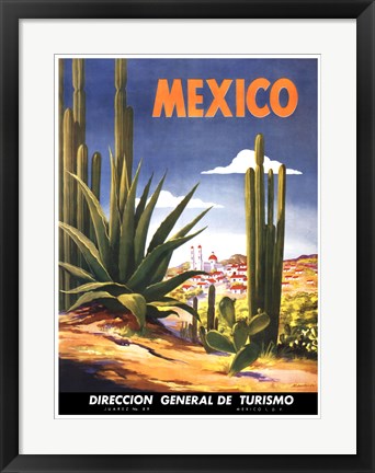 Framed Art Cacti, Mexico 24 3/8 x 18