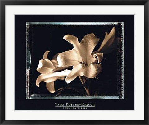 Framed Art Bermuda Lilies by Talli Rosner-Kozuch | 24 x 30