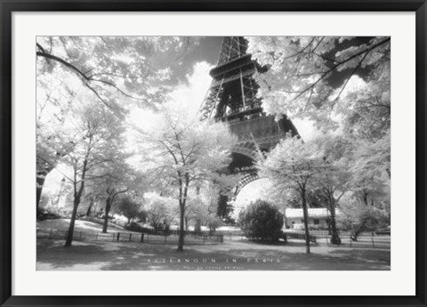 Framed Art Afternoon in Paris, Parc du Champ de Mars 24 x 36