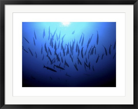 Framed Art Into the Deep by Rachel Fearnley | 23.6 x 31.5