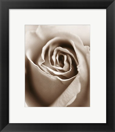 Framed Art Heart of the Rose by Sue Kennedy | 11 3/4 x 9 1/2