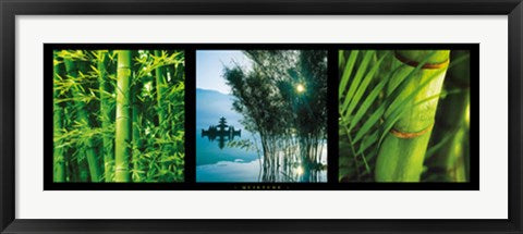 Framed Art Quietude by Photography Collection | 13 x 37