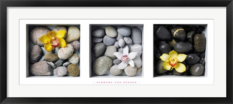 Framed Art Flowers and Stones by Dave Brullmann | 13 x 37