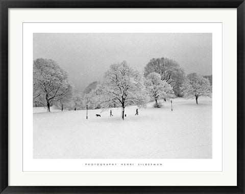 Framed Art Prospect Park Trees by Henri Silberman | 23 1/2 x 31 1/2
