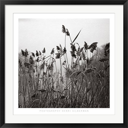 Framed Art Prospect Lake Grasses by Henri Silberman | 27 1/2 x 27 1/2