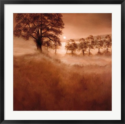 Framed Art Misty Morning by Alan Parker | 27 1/2 x 27 1/2