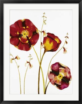Framed Art Poppies by Julia Ogden | 31 1/2 x 23 1/2