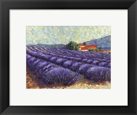 Framed Art Lavender Fields II by Lorraine Westwood | 9 1/2 x 11 3/4