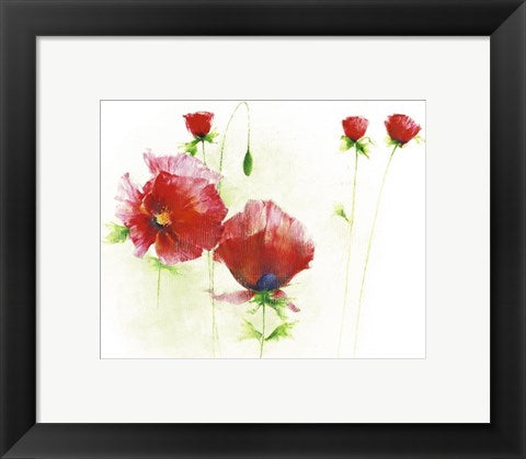 Framed Art Red Poppies I by Andrea Fontana | 9 1/2 x 11 3/4