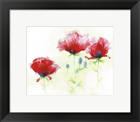 Framed Art Red Poppies II by Andrea Fontana | 9 1/2 x 11 3/4