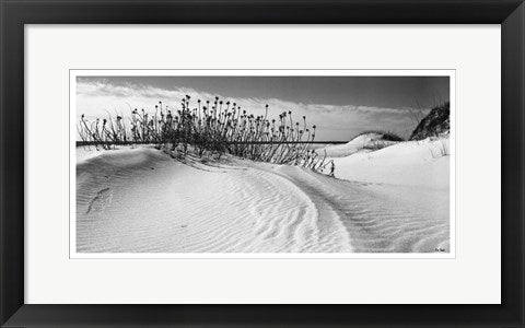 Framed Art Serebe Shorline by Eve Turek | 10 x 20