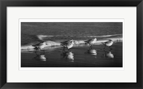 Framed Art Five Friends by Eve Turek | 10 x 20