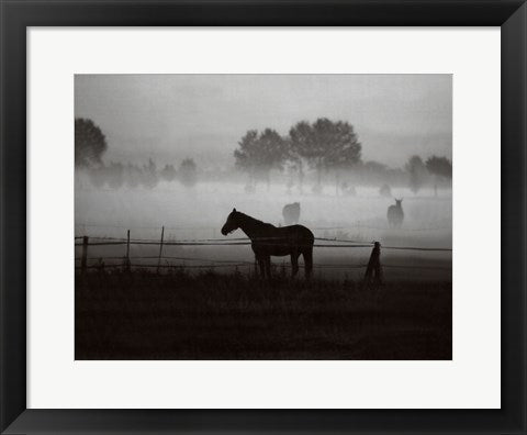 Framed Art Grazing in the Mist 14 x 18 1/4