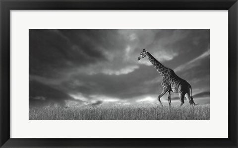 Framed Art Giraffes, African Skies 12 1/2 x 24 1/2