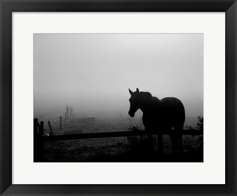 Framed Art Grazing in the Mist II 14 x 18 1/4