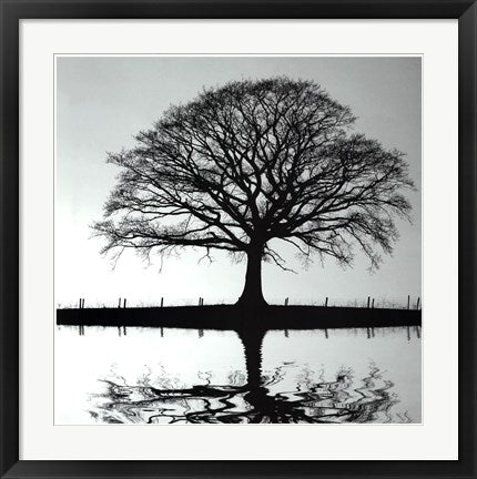Framed Art Shimmering Oak 24 1/2 x 24 1/2