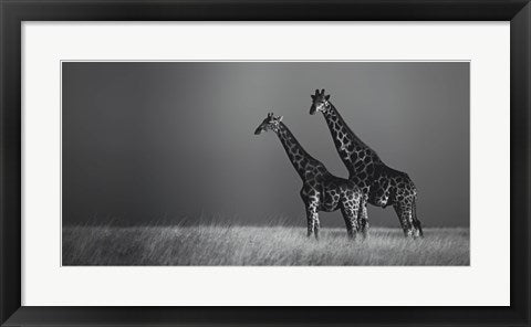 Framed Art African Skies II 12 1/2 x 24 1/2