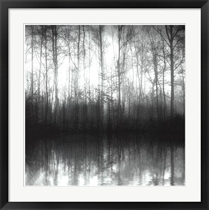 Framed Art Forest Mist 24 1/2 x 24 1/2