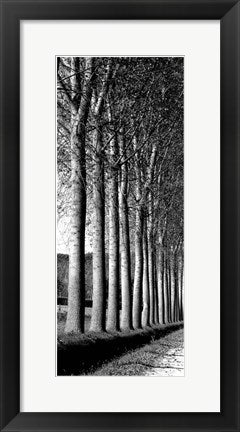 Framed Art Oak Lane 20 1/2 x 8 1/2