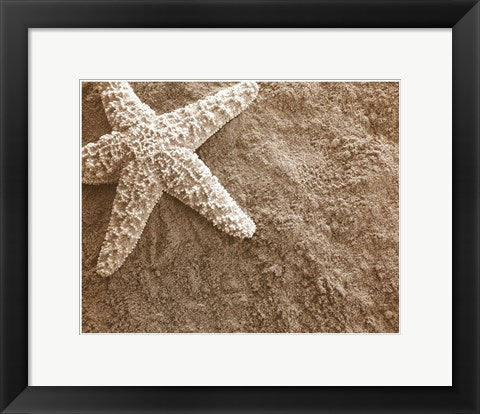 Framed Art Starfish in the Sand 11 1/2 x 14 1/2