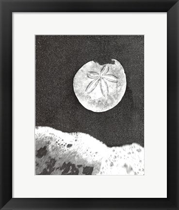 Framed Art Sand Dollar and Surf 14 1/2 x 11 1/2