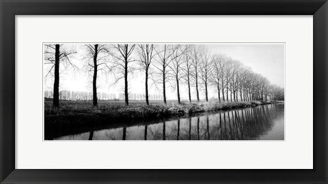 Framed Art Trees Along the Canal 8 x 20