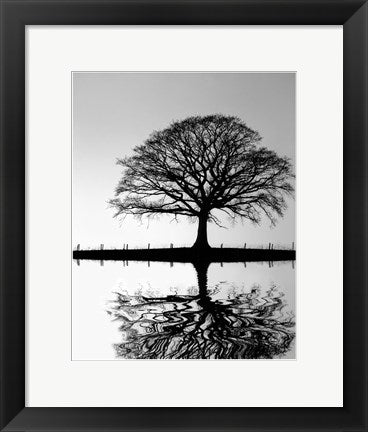 Framed Art Standing Oak Tree 14 1/2 x 11 1/2